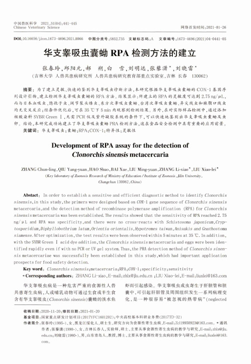 华支睾吸虫囊蚴RPA检测方法的建立