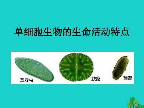 七年级生物上册 第三章 第二节 生物体 单细胞生物的生命活动特点课件 (新版)北京版