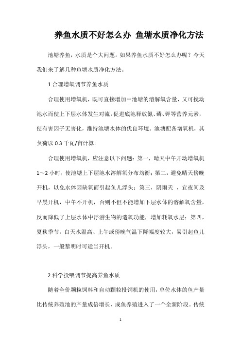 养鱼水质不好怎么办鱼塘水质净化方法