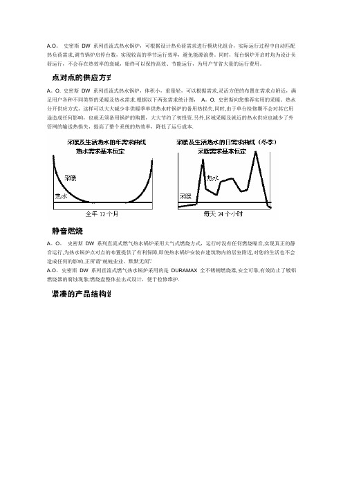 史密斯DW锅炉结构图