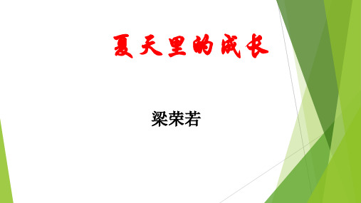 六年级语文(上) PPT《在夏天里成长》部编-优质课件