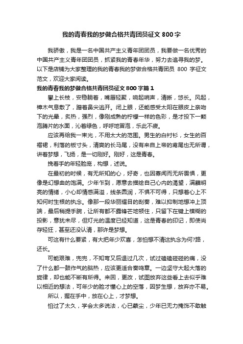 我的青春我的梦做合格共青团员征文800字