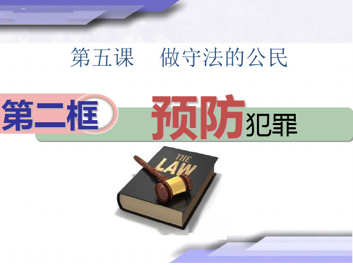 人教版道德与法治八年级上册5.2预防犯罪课件共24张PPT)