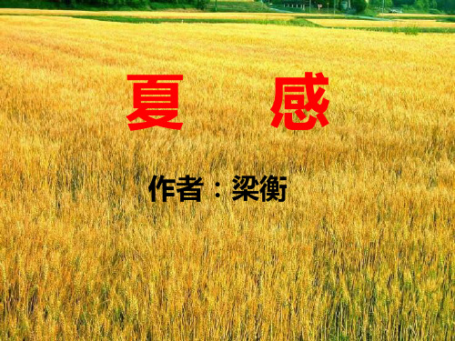 《夏感》PPT课件