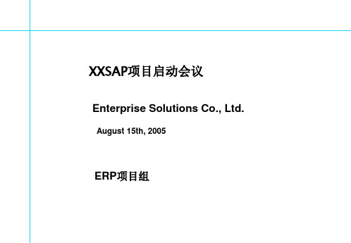 XX SAP SAP项目启动会议