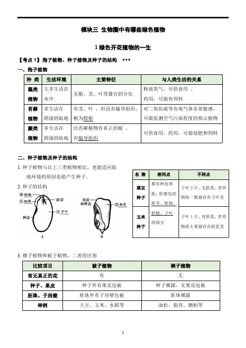 2022生物中考专题复习讲义3.1绿色开花植物的一生