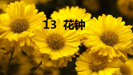 13 花钟课件(共24张PPT)