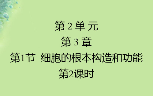 七年级生物上册3.1细胞的基本结构和功能(动物细胞的基本结构)课件(新版)北师大版