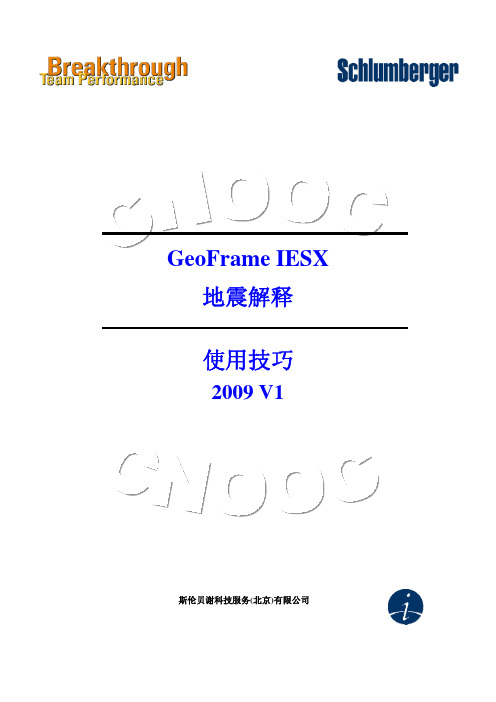 GeoFrame IESX 地震解释操作技巧