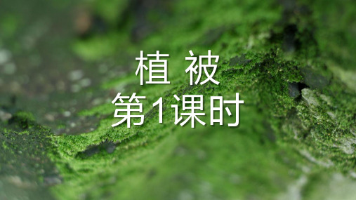 人教版高中地理必修一《植被》植被与土壤PPT(第1课时)