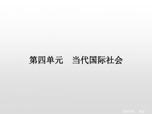 2020年高考政治[政治生活]总复习课件：4.8走近国际社会