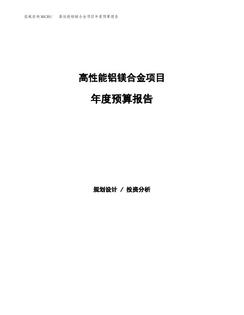 高性能铝镁合金项目年度预算报告