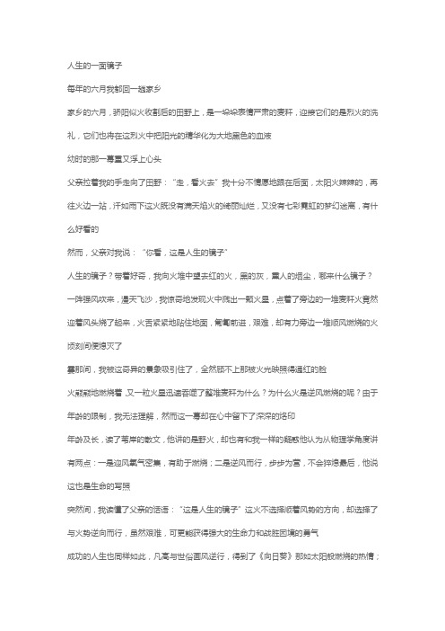 对镜自省的作文