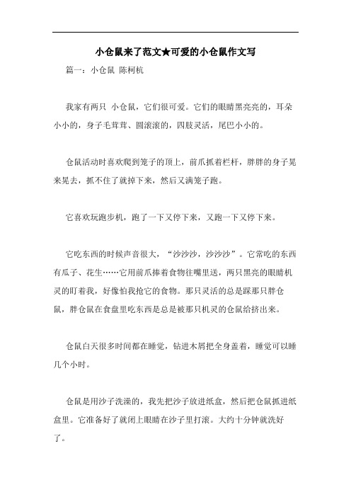 小仓鼠来了范文★可爱的小仓鼠作文写
