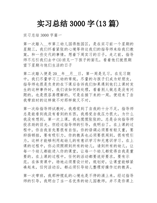 实习总结3000字(13篇)