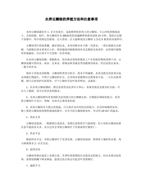 水养豆瓣绿的养殖方法和注意事项