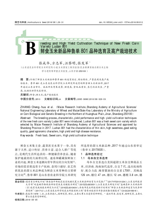 鲜食玉米新品种鲁单801品种选育及高产栽培技术