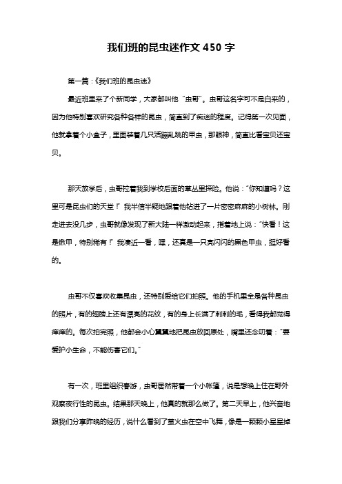 我们班的昆虫迷作文450字