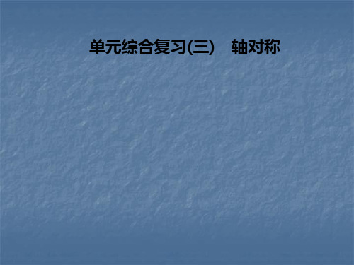 人教版八年级数学上册课件：第十三章 单元综合复习(三) 轴对称(共30张PPT)