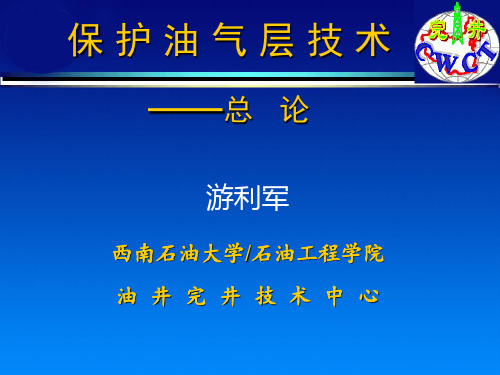 保护储层技术总论