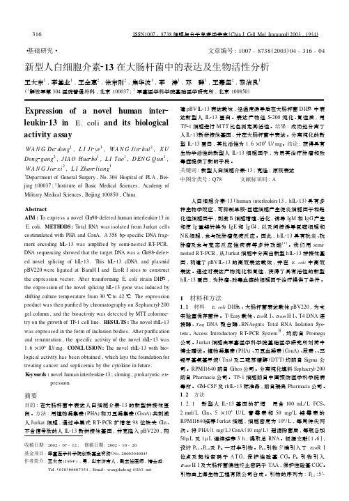 新型人白细胞介素213在大肠杆菌中的表达及生物活性分析