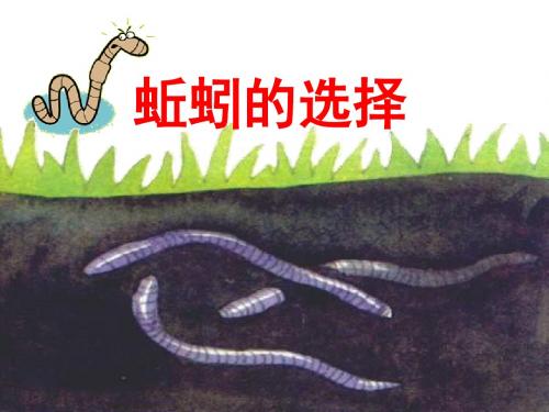 《蚯蚓的选择》生物与环境PPT课件