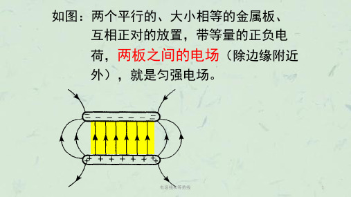 电场线和等势线课件