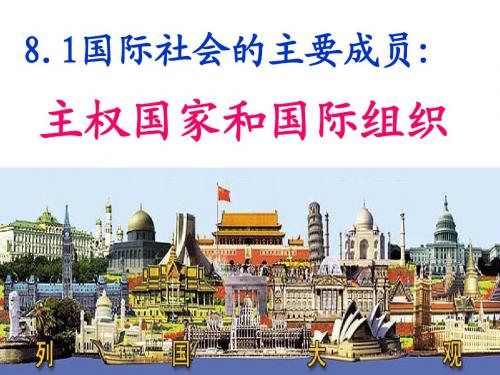 8.1国际社会的主要成员