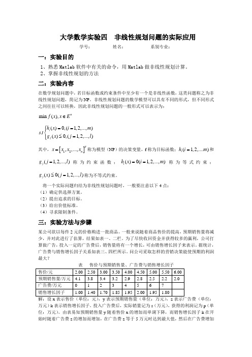 大学数学实验   非线性规划问题的实际应用