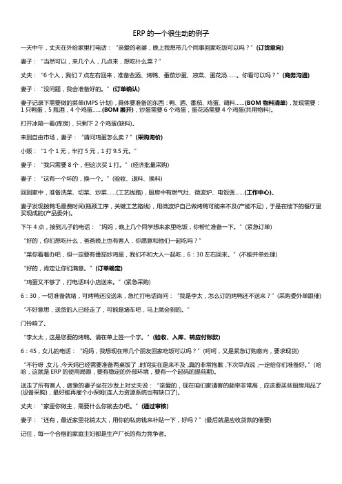 ERP的很生动的例子