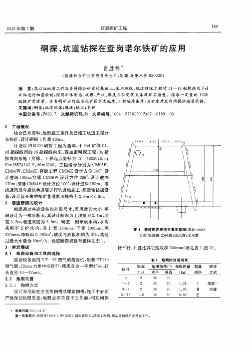 硐探,坑道钻探在查岗诺尔铁矿的应用