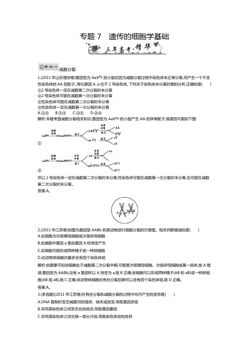 专题7遗传的细胞学基础(高三生物第一轮复习)免费2013届