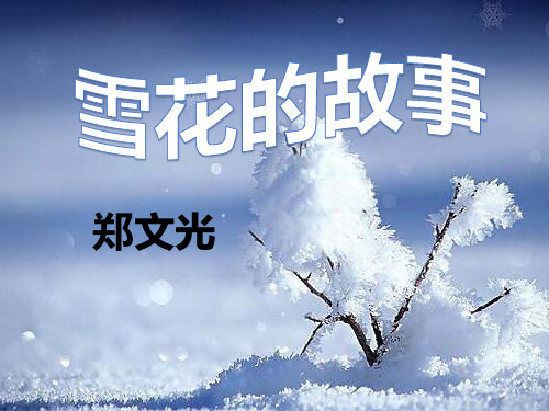 《雪花的故事》ppt课件