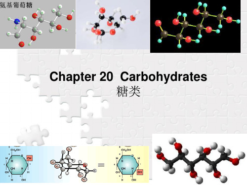 化学基础英文20糖类化合物_carbohydrates