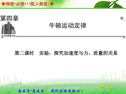 20132014学年高中物理人教版必修一同步辅导与检测课件:4.2 实验:探究加速度与力、质量的关系