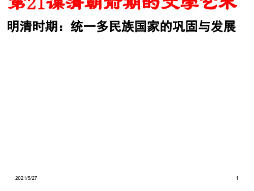 人教版七年级历史下册课件-第二十一课-清朝前期的文学艺术