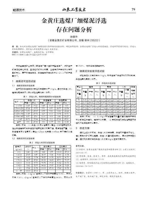 金黄庄选煤厂细煤泥浮选存在问题分析