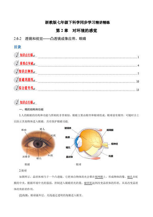 【精品讲义】浙教版 科学 7年级下册 2.6.2 透镜和视觉——凸透镜成像应用、眼睛(学生版)