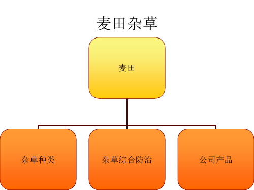 小麦田杂草及防除