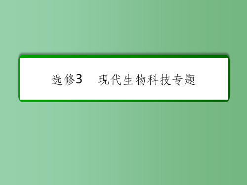 高考生物一轮复习 专题一 基因工程课件 新人教版选修3