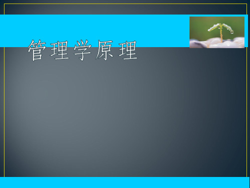 管理学基础