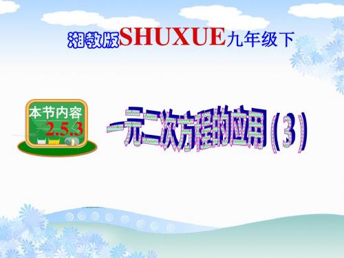 新湘教版九年级上册2.5一元二次方程的应用(3) (共16张PPT)