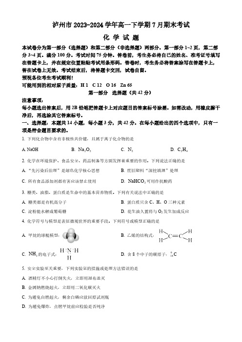 四川省泸州市2023-2024学年高一下学期7月期末考试 化学试题 (含答案)