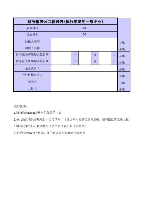 财务报表公共信息表模板(转换为XLS表格使用)