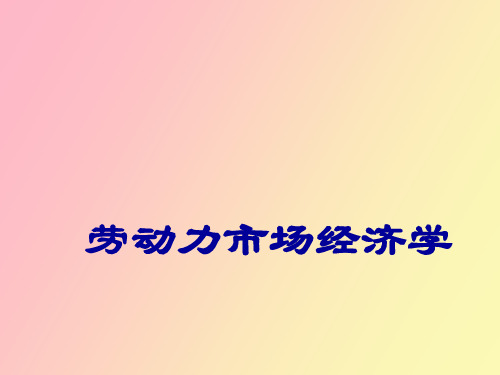 劳动力市场经济学