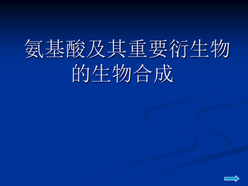 氨基酸生物合成精品PPT课件