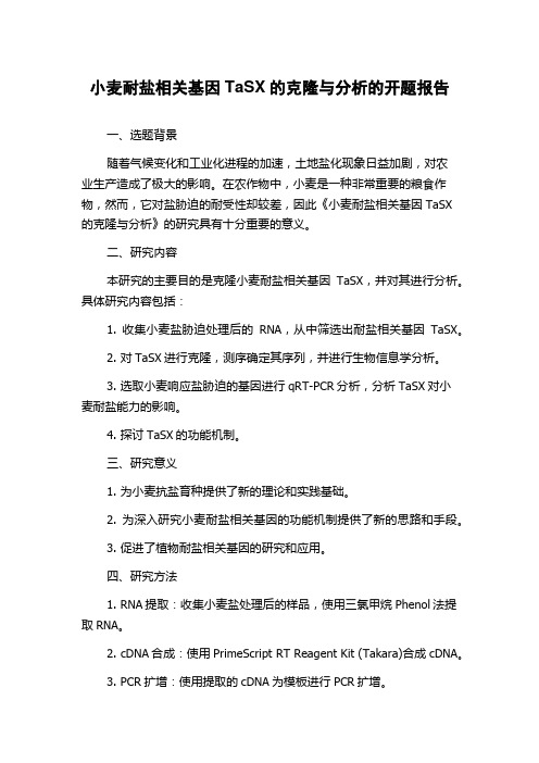 小麦耐盐相关基因TaSX的克隆与分析的开题报告