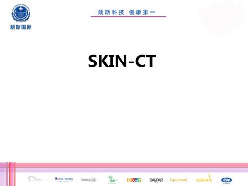 SKIN-CTppt课件