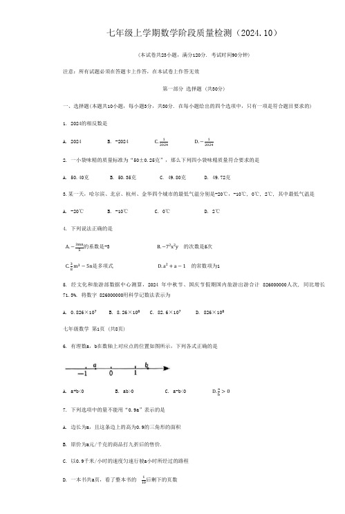 人教版七年级上学期数学阶段质量检测(2024.10)