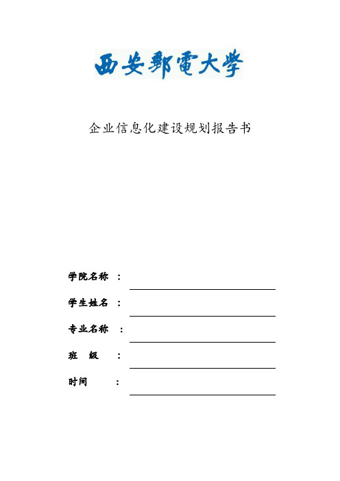 企业信息化集中实践报告